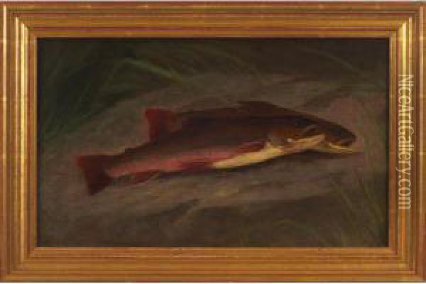 Fish Oil Painting - William Ongley