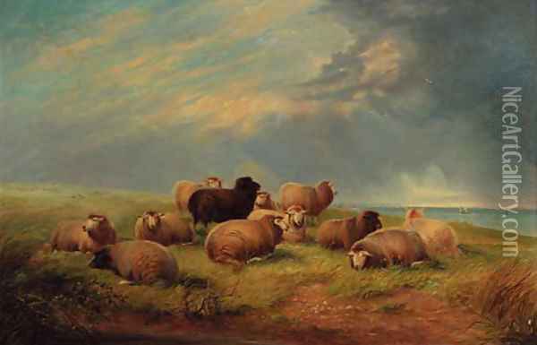Sheep resting on a cliff top Oil Painting - Thomas Sidney Cooper