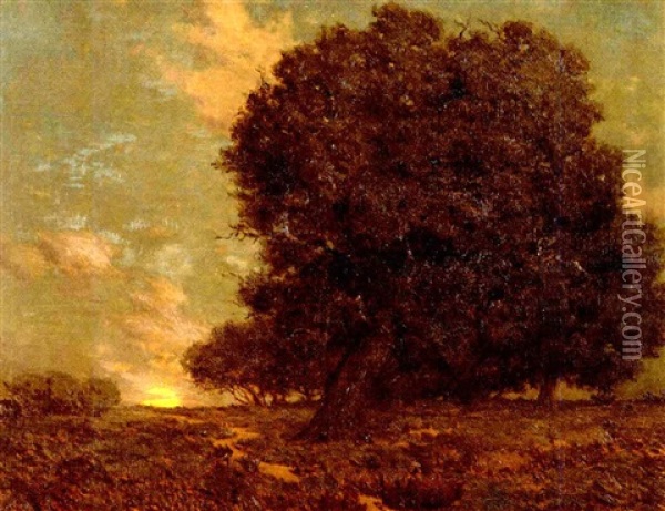A Canyon Oak Oil Painting - Granville S. Redmond