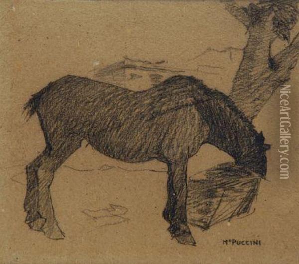 Cavallo Oil Painting - Mario Puccini