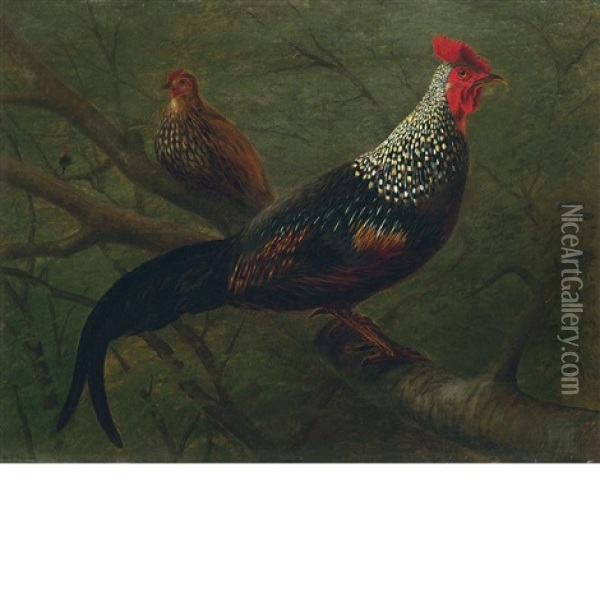 Pheasants Oil Painting - William Jacob Hays the Elder