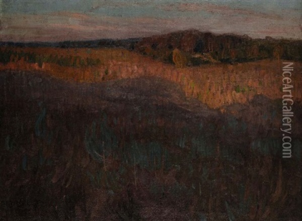 Heide- Und Sumpflandschaft Oil Painting - Felix Hollenberg