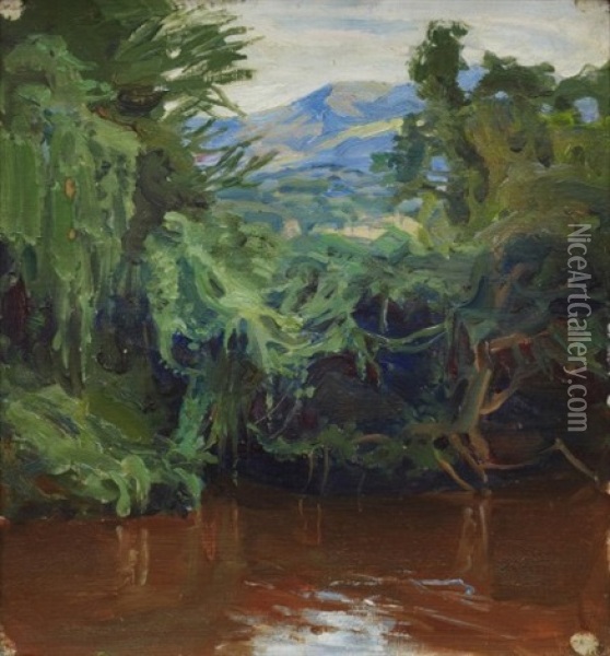Afrikanskt Landskap - Landskapsstudie Oil Painting - Akseli Valdemar Gallen-Kallela