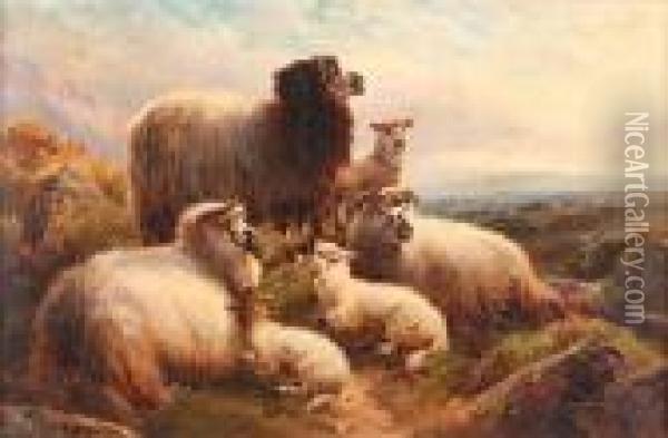 Sheep And Lambs On A Hillside Oil Painting - Robert Watson