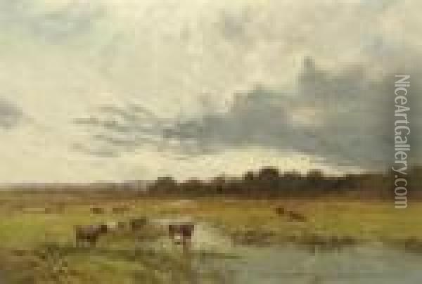 Cows At Pasture Oil Painting - Alfred Walter Williams