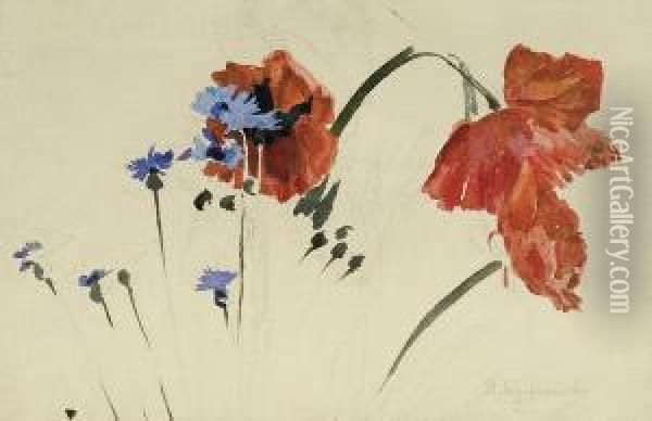 Poppies And Cornflowers Oil Painting - Stanislaw Wyspianski
