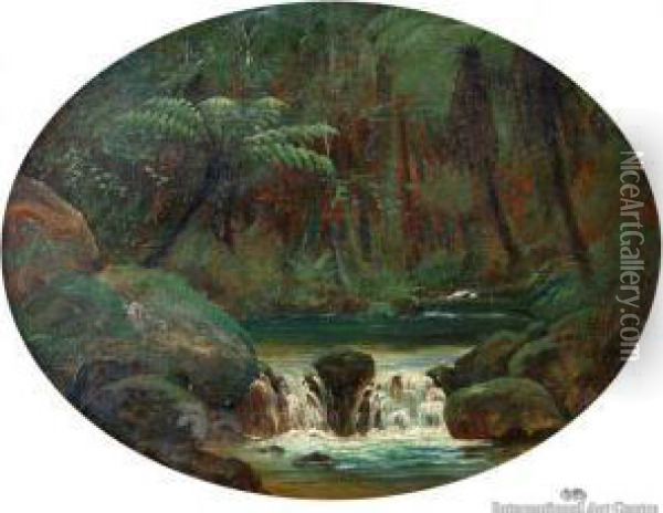 On The Nihotupu River, Waikato Oil Painting - Charles Blomfield