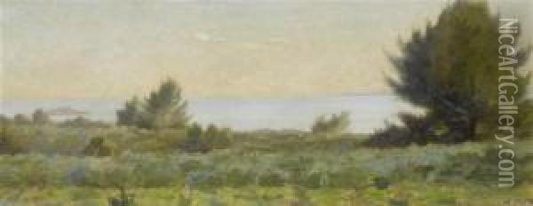 Lake Landscape. Oil Painting - Adolphe Potter