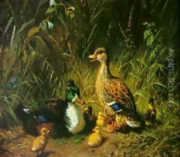 Entenfamilie Oil Painting - Carl Jutz the Elder