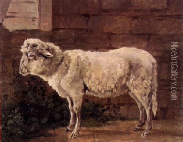 Stehendes Schaf Oil Painting - Wilhelm Alexander Wolfgang von Kobell