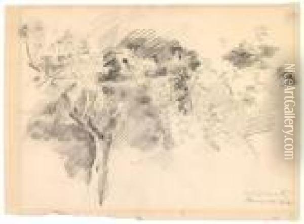 Apfelbaume Oil Painting - Lovis (Franz Heinrich Louis) Corinth