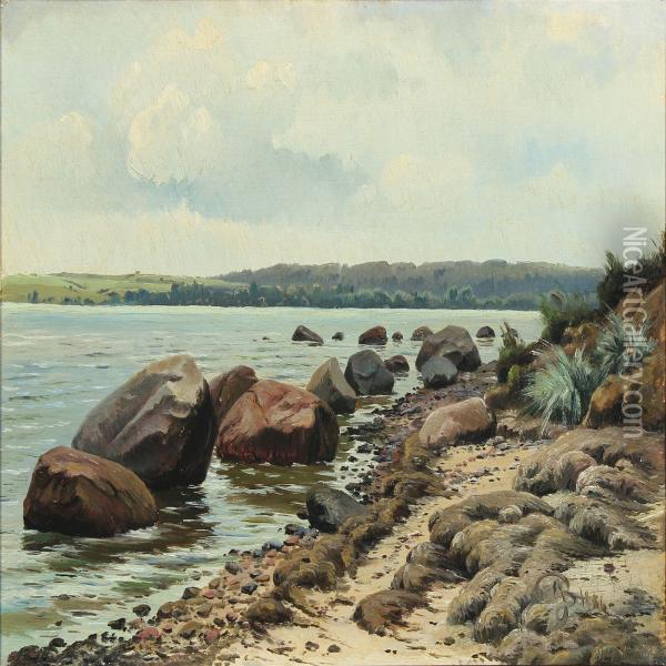 A Danish Beach Scenery At Spring Time Oil Painting - Johannes Boesen