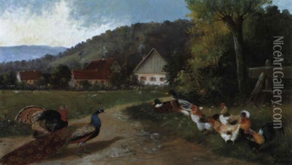 Federvieh In Landlicher Umgebung Oil Painting - Alfred Schoenian