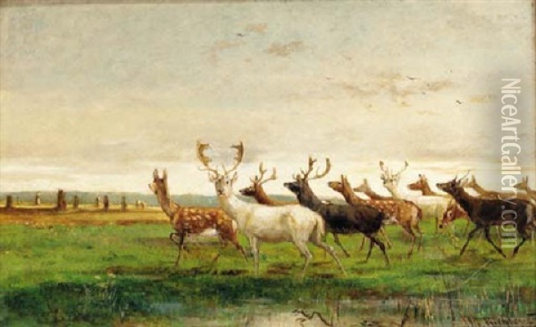 A Herd Of Deer In A Landscape Oil Painting - Albert (Adolf) Richter