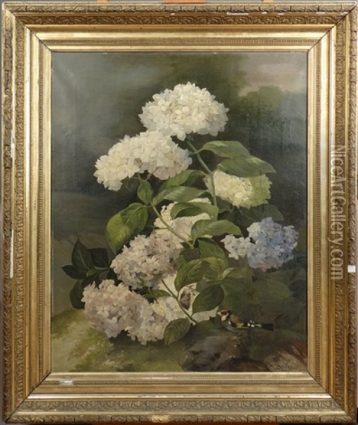 Bouquet D'hortensias Oil Painting - Alexandre Debrus