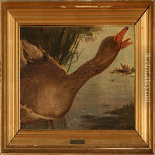 A Cackling Goose Oil Painting - Hans Ludvig Smidth
