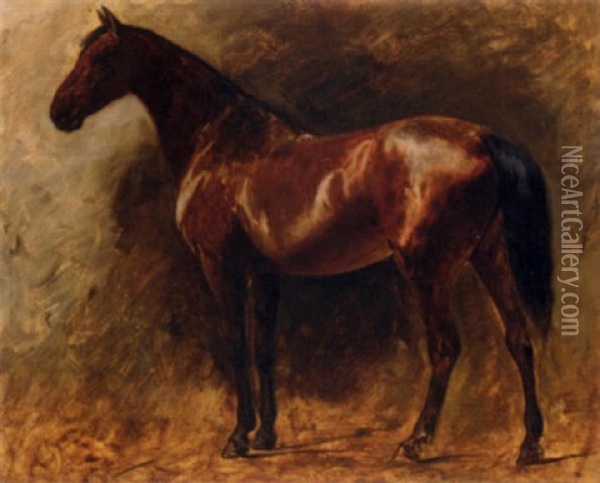 A Chestnut Stallion Oil Painting - Wilhelm Friedrich Kuhnert