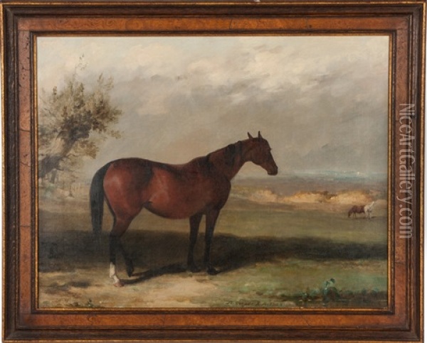 A Bay Hunter Oil Painting - Abraham Cooper