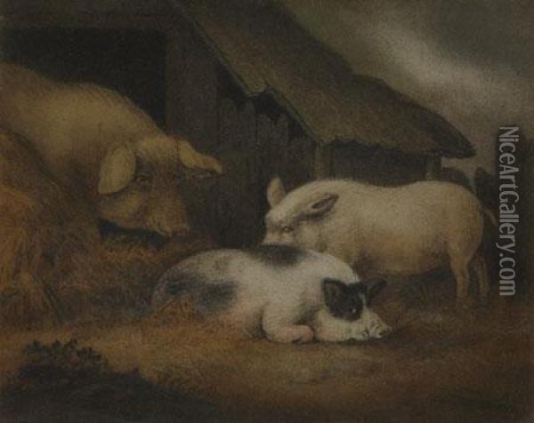 Depicting Three Various Pigs In Straw Outside Their Sty Oil Painting - Benjamin Zobel