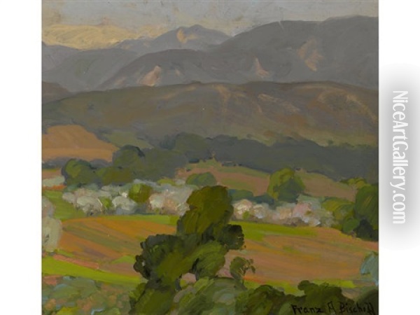 Rolling Hills Of Splendor Oil Painting - Franz Arthur Bischoff