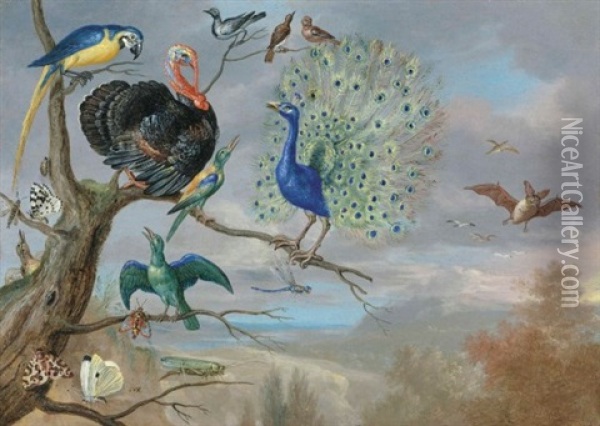 Allegory Of Air Oil Painting - Jan van Kessel the Elder