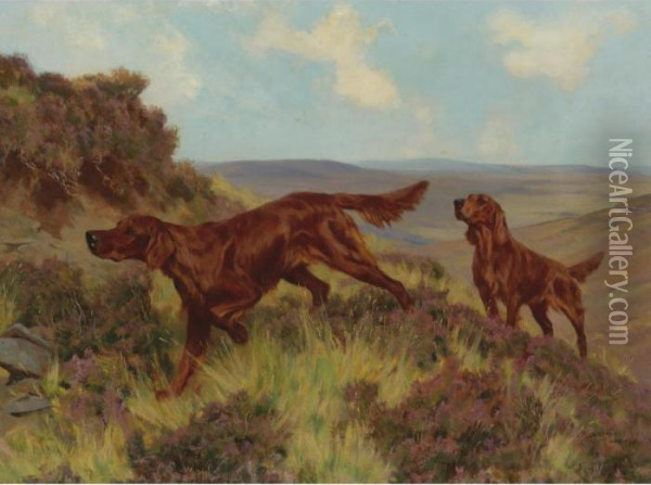 A Pair Of Irish Setters In The Field Oil Painting - Arthur Wardle