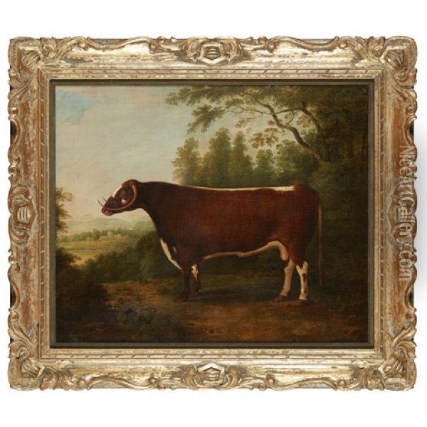 Portrait Of A Bull Oil Painting - John Boultbee