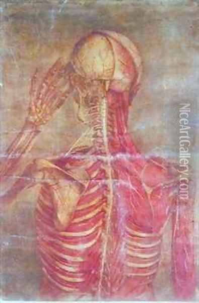 Musculature of the Back and Neck and the Spinal Cord Oil Painting - Jacques - Fabien Gautier - Dagoty