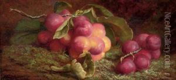 Cherries On A Branch; And Plums On A Branch Oil Painting - John Fitz Marshall