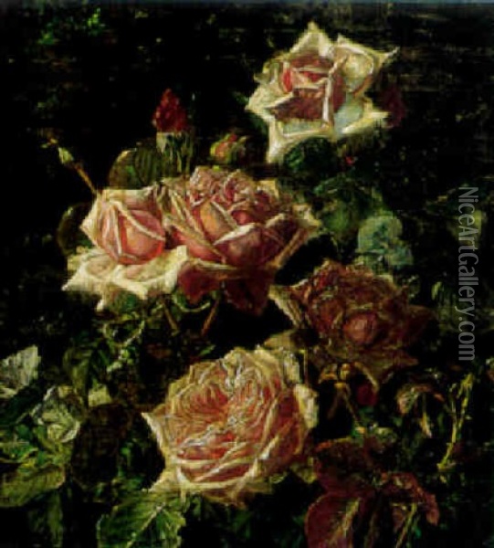 Dugvade Blomstrende Rosre Oil Painting - Sofus Petersen