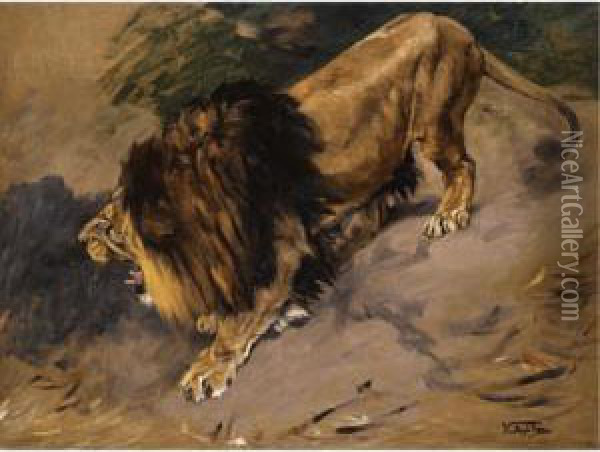 A Roaring Lion Oil Painting - Geza Vastagh