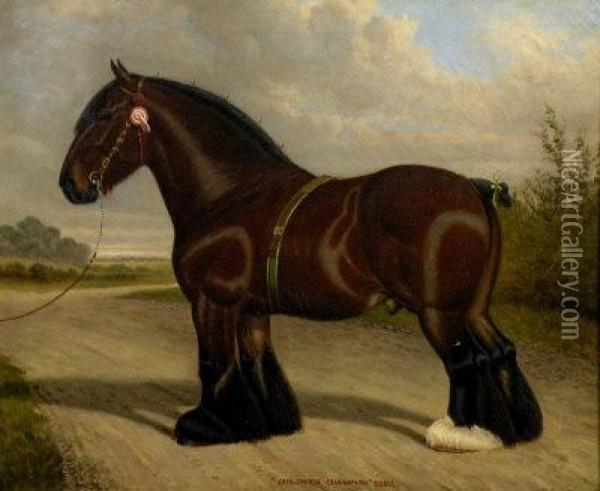 'a Portrait Of The Shire Horse 'childwick Champion' 22215' Oil Painting - William Albert Clark