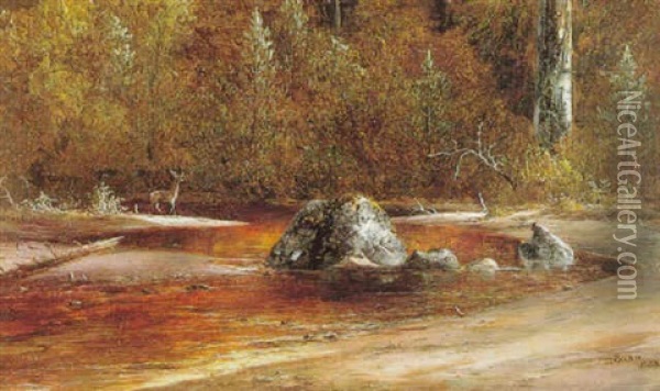 Deer At The Water's Edge Oil Painting - Norton Bush