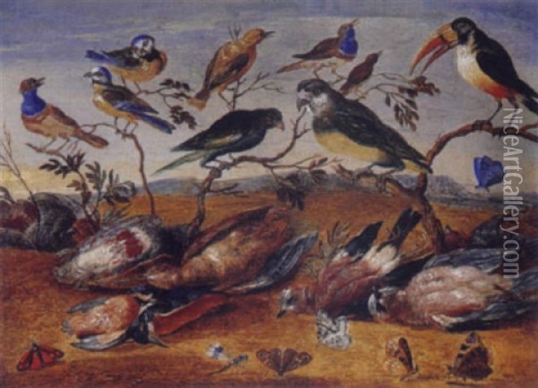 Concert D'oiseaux Oil Painting - Ferdinand van Kessel