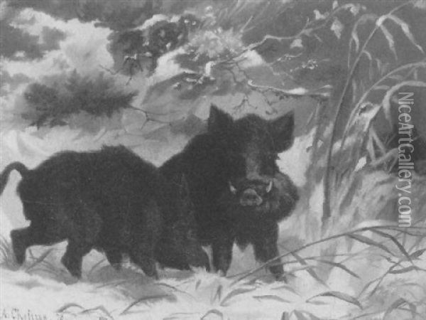 Wildschweine Im Winterwald Oil Painting - Adolf Chelius
