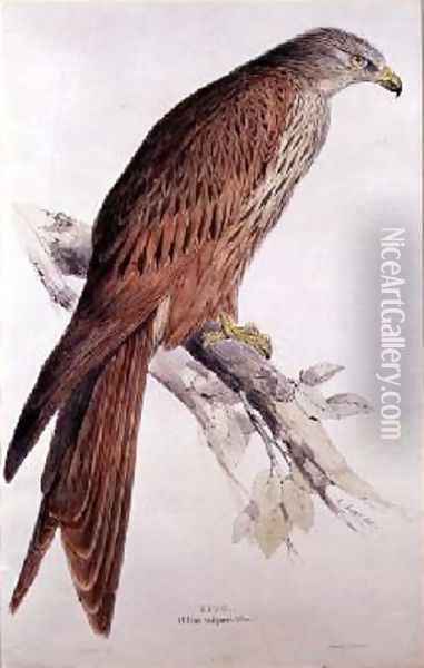 Kite Oil Painting - Edward Lear
