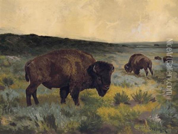 The American Buffalo Oil Painting - John Dare Howland