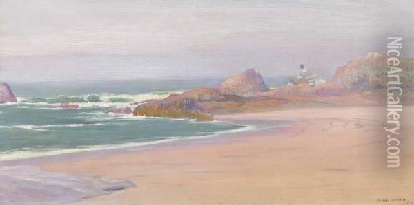 Vista De Praia Oil Painting - Antonio Carneiro