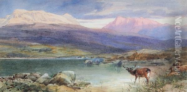 Highland Loch Landscape With Stagwatering Oil Painting - Thomas Miles Richardson
