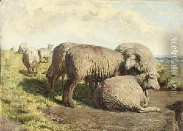 Sheep Grazing In A Landscape Oil Painting - Daniel Alexander Williamson