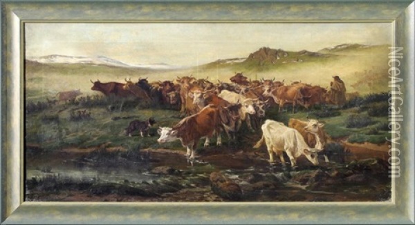 Troupeau De Vaches En Auvergne Oil Painting - August Friedrich Albrecht Schenck