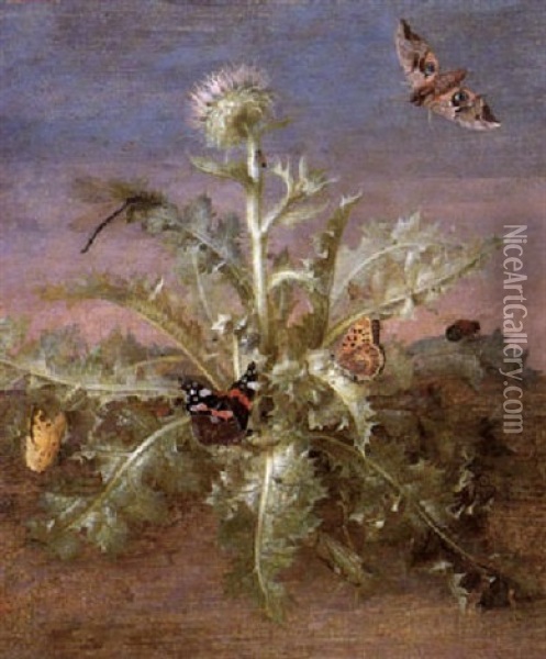 A Thistle Laiden With Insects Including Butterflies, A      Dragonfly & A Grasshopper Oil Painting - Margarethe de Heer