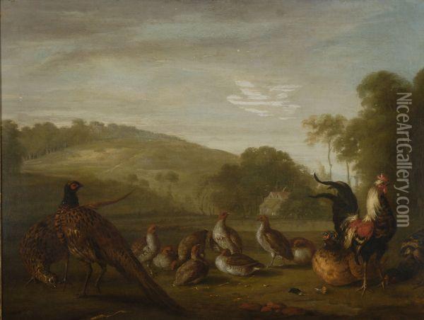 Pheasant, A Cockerel And Other Game Birds In A Landscape Oil Painting - Stephen Elmer