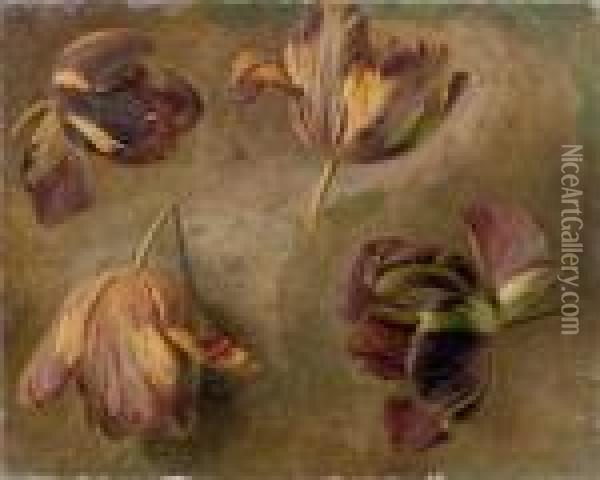 Etude De Tulipes Oil Painting - Cornelis van Spaendonck