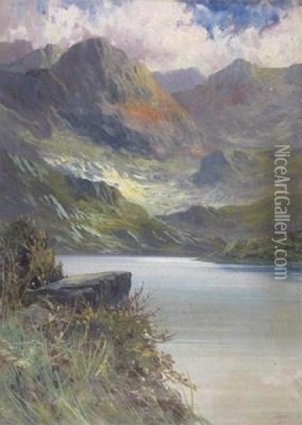 Mountainous Lakeland Landscapes Oil Painting - John Henry Boel