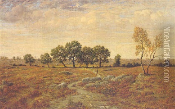 Lande De La Glandee, Forest Of Fontainebleau Oil Painting - Theodore Rousseau