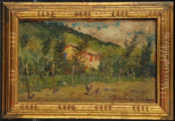 Paesaggio Agreste Con Pollaio Oil Painting - Publio De Simoni