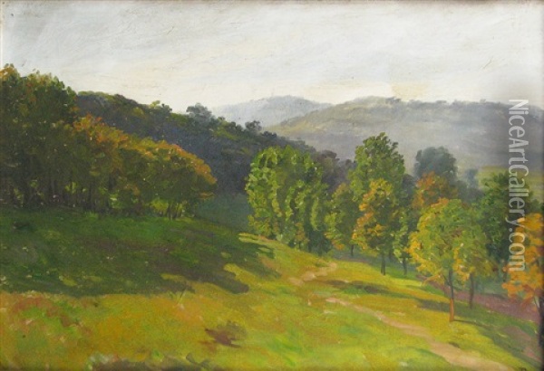 Hill Landscape Oil Painting - Alexandru Popp