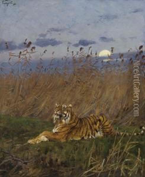 A Tiger Among Rushes In The Moonlight Oil Painting - Geza Vastagh