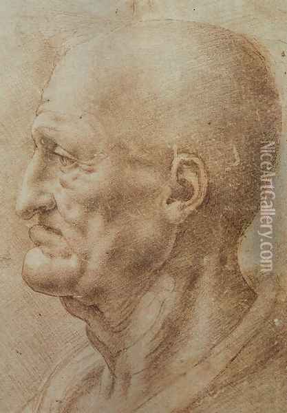 Study of an Old Man's Profile Oil Painting - Leonardo Da Vinci